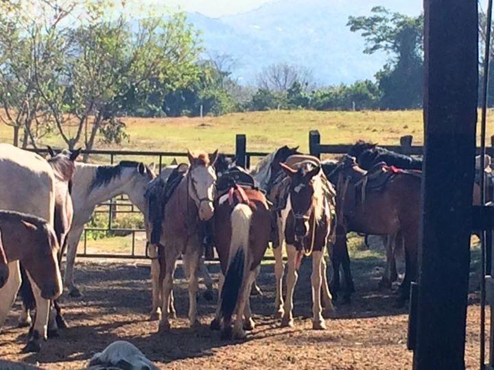 Hotel Hacienda El Rodeo Vueltas Eksteriør bilde
