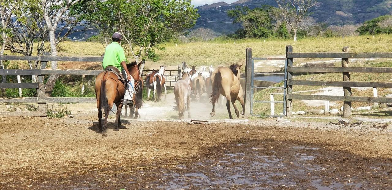 Hotel Hacienda El Rodeo Vueltas Eksteriør bilde