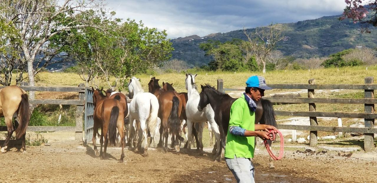 Hotel Hacienda El Rodeo Vueltas Eksteriør bilde